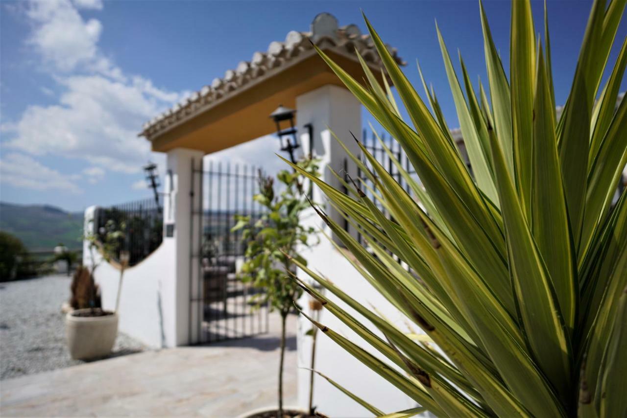 El Amparo Bed and Breakfast Alhama de Granada Buitenkant foto