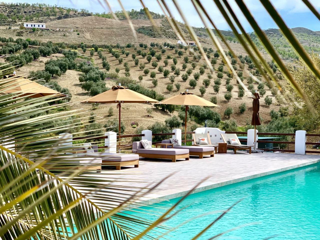 El Amparo Bed and Breakfast Alhama de Granada Buitenkant foto